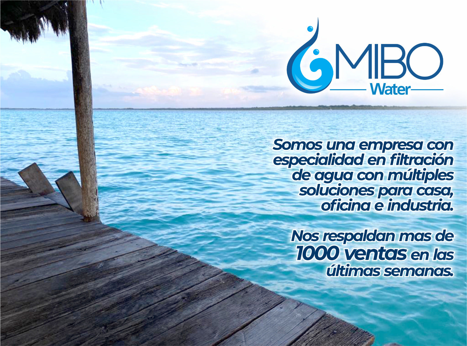 Todos nuestros pedidos tienen garantía