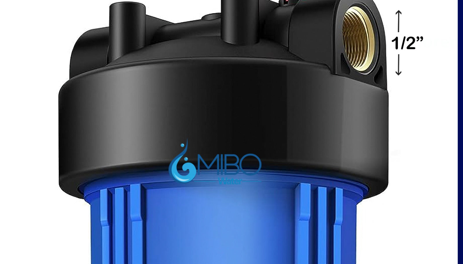 Filtro Portafiltro Polifosfatos Antisarro 2.5x10